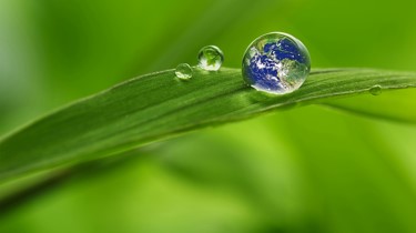 Drops of Water on a Leaf Reflecting Earth