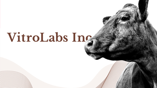 Vitrolabs Inc Logo