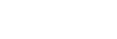 Flextock Logo